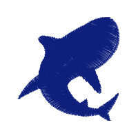 Art Animals Art Animals