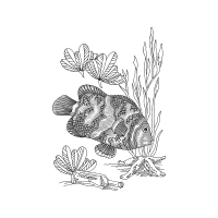 Art Animals Art Animals