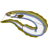 Art Animals Art Animals