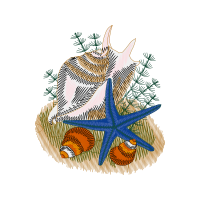 Art Animals Art Animals