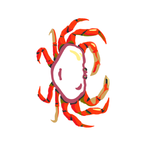 Art Animals Art Animals