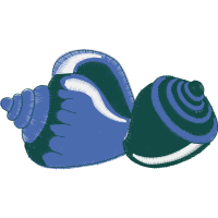 Art Animals Art Animals