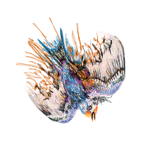 Art Animals Art Animals