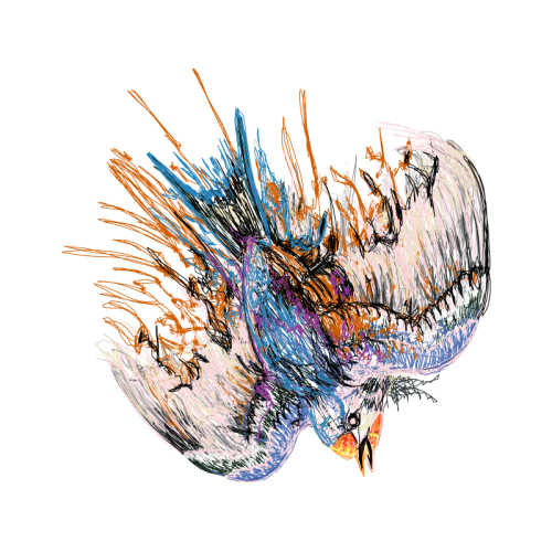 Art Animals Art Animals