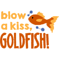 Art Animals Art Animals