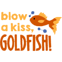 Art Animals Art Animals