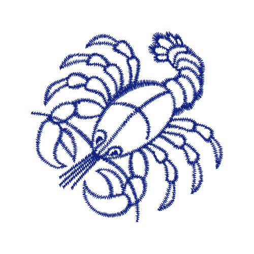 Arthropod Animals Arthropod Animals