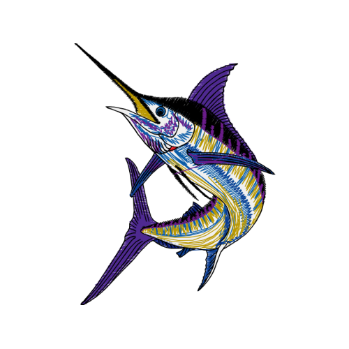 Atlantic Blue Marlin Animals Atlantic Blue Marlin Animals