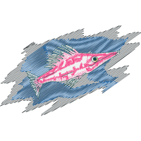 Atlantic Blue Marlin Animals