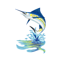 Atlantic Blue Marlin Animals