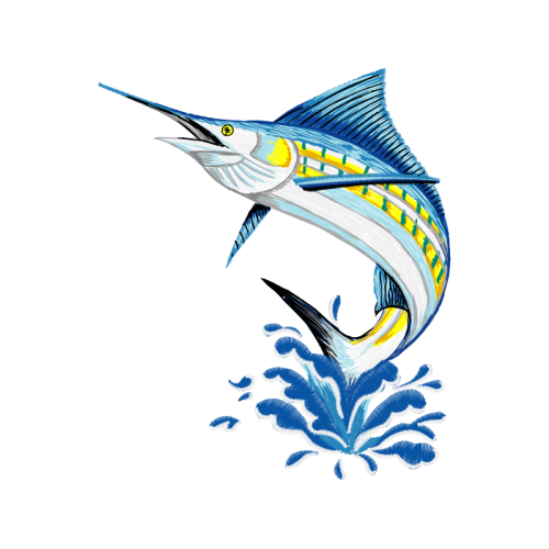 Atlantic Blue Marlin Animals Atlantic Blue Marlin Animals