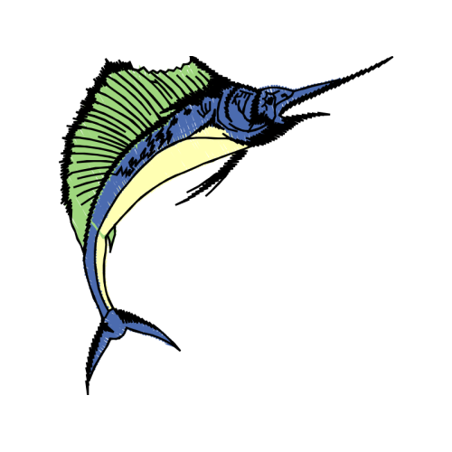 Atlantic Blue Marlin Animals Atlantic Blue Marlin Animals
