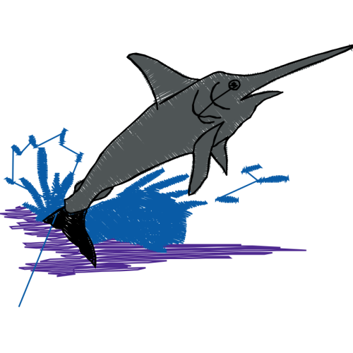 Atlantic Blue Marlin Animals Atlantic Blue Marlin Animals