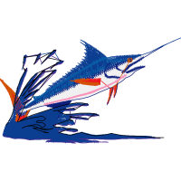 Atlantic Blue Marlin Animals