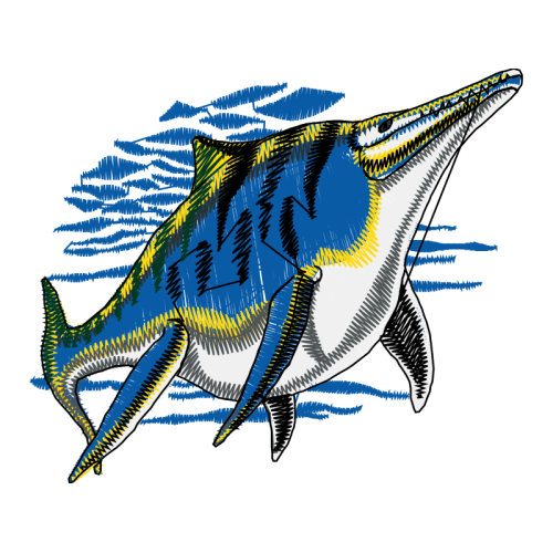 Atlantic Blue Marlin Animals Atlantic Blue Marlin Animals