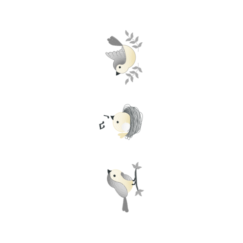 Bearded Seal Animals Bearded Seal Animals