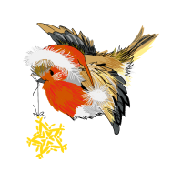 Birds Animals Birds Animals