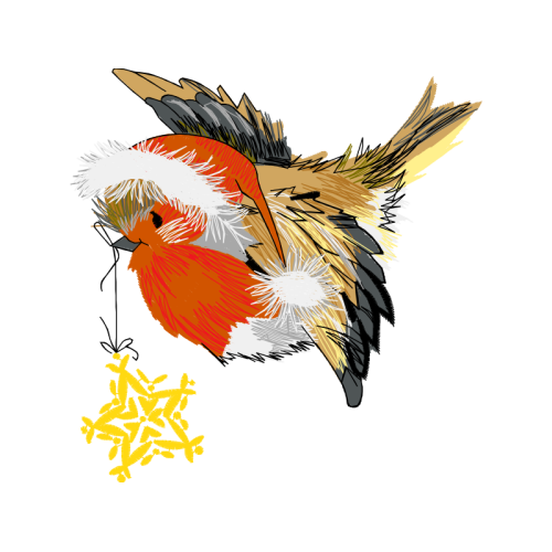 Birds Animals Birds Animals