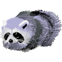 Black Footed Ferret Animals Black Footed Ferret Animals