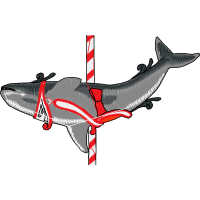 Boeing Co Animals Boeing Co Animals