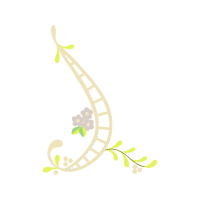 Bona Animals Bona Animals