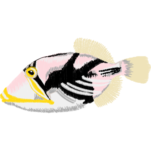 Bony Fishes Animals Bony Fishes Animals