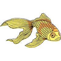 Bony Fishes Animals Bony Fishes Animals