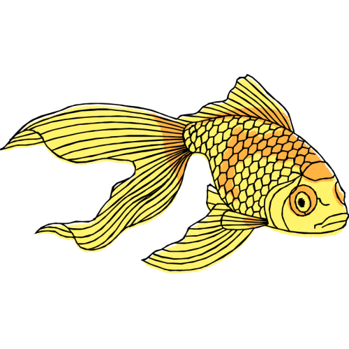 Bony Fishes Animals Bony Fishes Animals