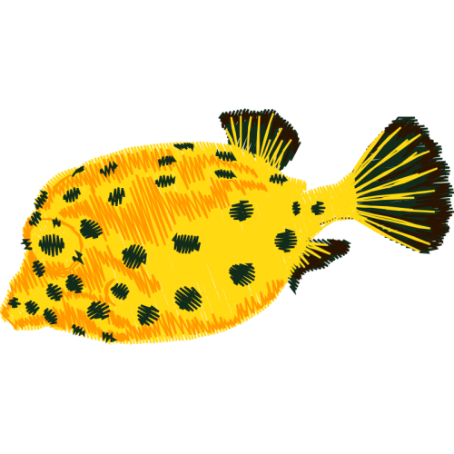 Bony Fishes Animals Bony Fishes Animals