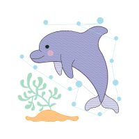 Bottlenose Dolphin Animals Bottlenose Dolphin Animals