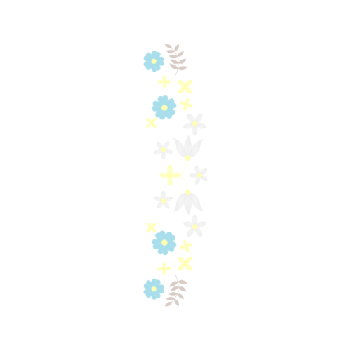 Brachionus Plicatilis Animals Brachionus Plicatilis Animals