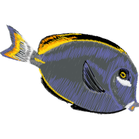 Butterflyfish Animals Butterflyfish Animals