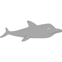 Cartilaginous Fishes Animals Cartilaginous Fishes Animals
