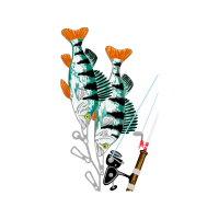 Cartoon Animals Cartoon Animals