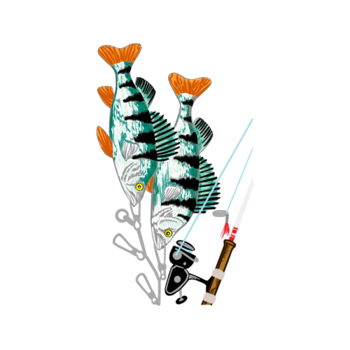 Cartoon Animals Cartoon Animals