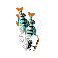 Cartoon Animals Cartoon Animals