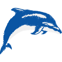 Cetaceans Animals