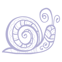 Chambered Nautilus Animals