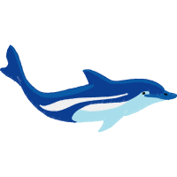 Common Bottlenose Dolphin Animals