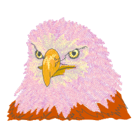 Common Bottlenose Dolphin Animals