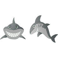 Common Bottlenose Dolphin Animals