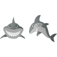 Common Bottlenose Dolphin Animals