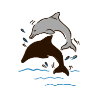 Common Bottlenose Dolphin Animals