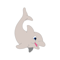 Common Bottlenose Dolphin Animals