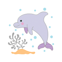 Common Bottlenose Dolphin Animals