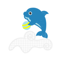 Common Bottlenose Dolphin Animals