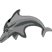 Common Bottlenose Dolphin Animals