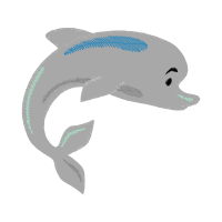 Common Bottlenose Dolphin Animals