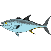 Common Whitefish Animals