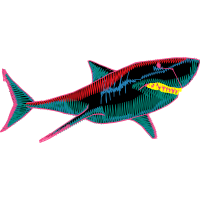 Coral Reef Fish Animals